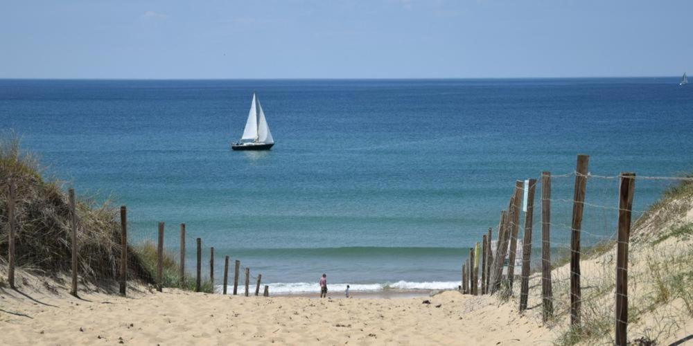 Maison Bassin D'Arcachon 8 Personnes, Spa, Proche Piste Cyclable Le Teich Eksteriør bilde