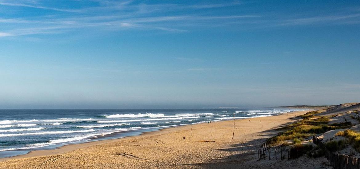 Maison Bassin D'Arcachon 8 Personnes, Spa, Proche Piste Cyclable Le Teich Eksteriør bilde